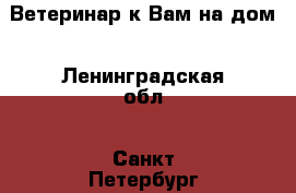 Ветеринар к Вам на дом - Ленинградская обл., Санкт-Петербург г. Животные и растения » Услуги   